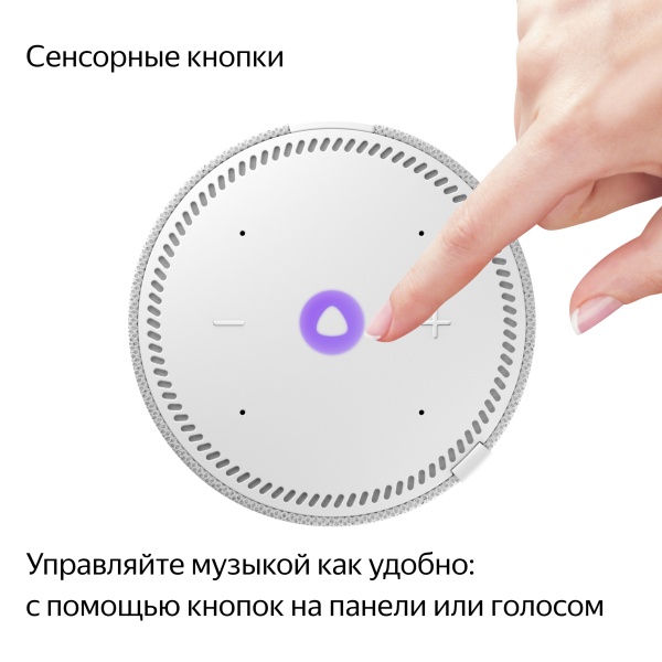 Умная колонка Яндекс Станция Мини с часами, Серый опал