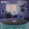 Умная колонка Яндекс Станция Мини 3 Бирюзовый