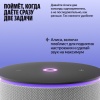 Яндекс Станция Мини 3 Про Серый