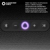 Портативная умная колонка Яндекс Станция Стрит с Алисой, Черный