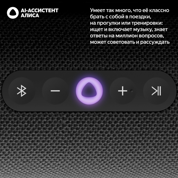 Портативная умная колонка Яндекс Станция Стрит с Алисой, Черный
