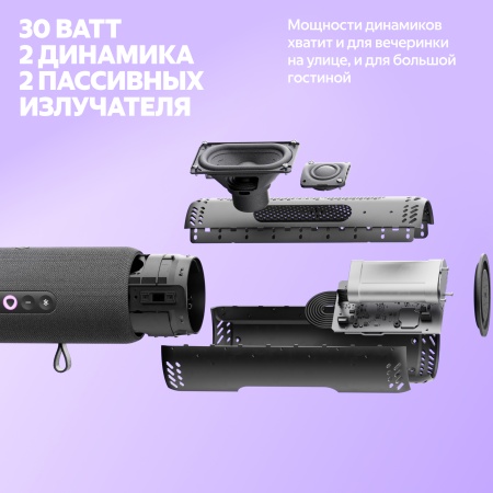 Портативная умная колонка Яндекс Станция Стрит с Алисой, Черный