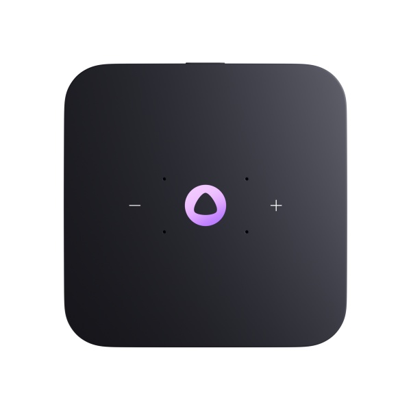 Умная колонка Яндекс Станция Миди, Малиновый