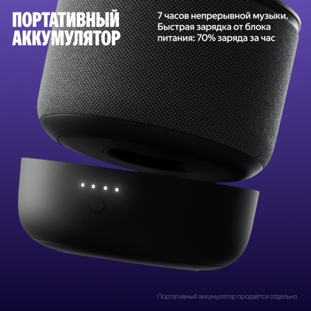 Яндекс Станция Мини 3 Про Серый