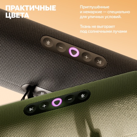 Портативная умная колонка Яндекс Станция Стрит с Алисой, Черный