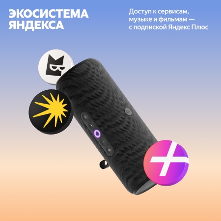 Портативная умная колонка Яндекс Станция Стрит с Алисой, Черный