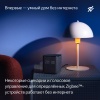 Умная колонка Яндекс Станция Миди, Серый