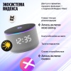 Яндекс Станция Мини 3 Про Серый