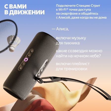 Портативная умная колонка Яндекс Станция Стрит с Алисой, Черный