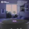 Умная колонка Яндекс Станция Мини 3 Черный
