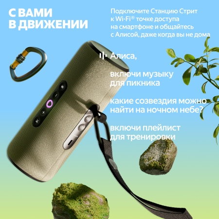 Портативная умная колонка Яндекс Станция Стрит с Алисой, Серый