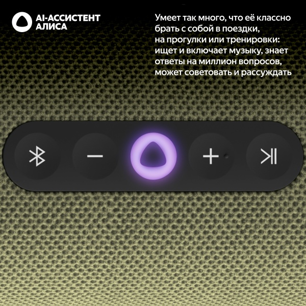 Портативная умная колонка Яндекс Станция Стрит с Алисой, Зеленый