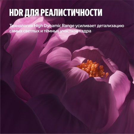Яндекс ТВ Станция Бейсик QLED 55"